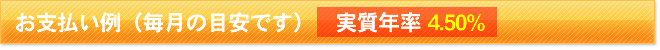 お支払い例(毎月の目安です)実質年率4.50%